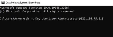 Alt Text